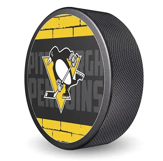 Шайба NHL 2023 Pittsburgh Penguins