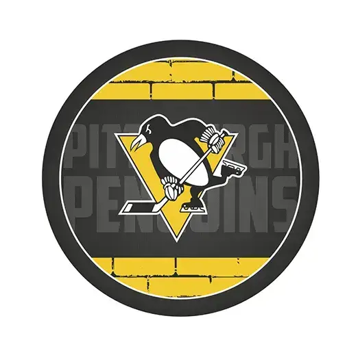 Шайба NHL 2023 Pittsburgh Penguins 1