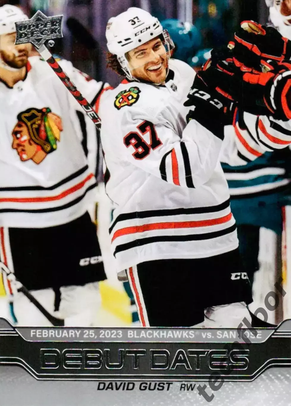 Карточка NHL David Gust Chicago Blackhawks/Дэвид Гаст Чикаго НХЛ