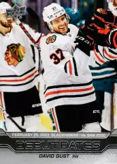 Карточка NHL David Gust Chicago Blackhawks/Дэвид Гаст Чикаго НХЛ