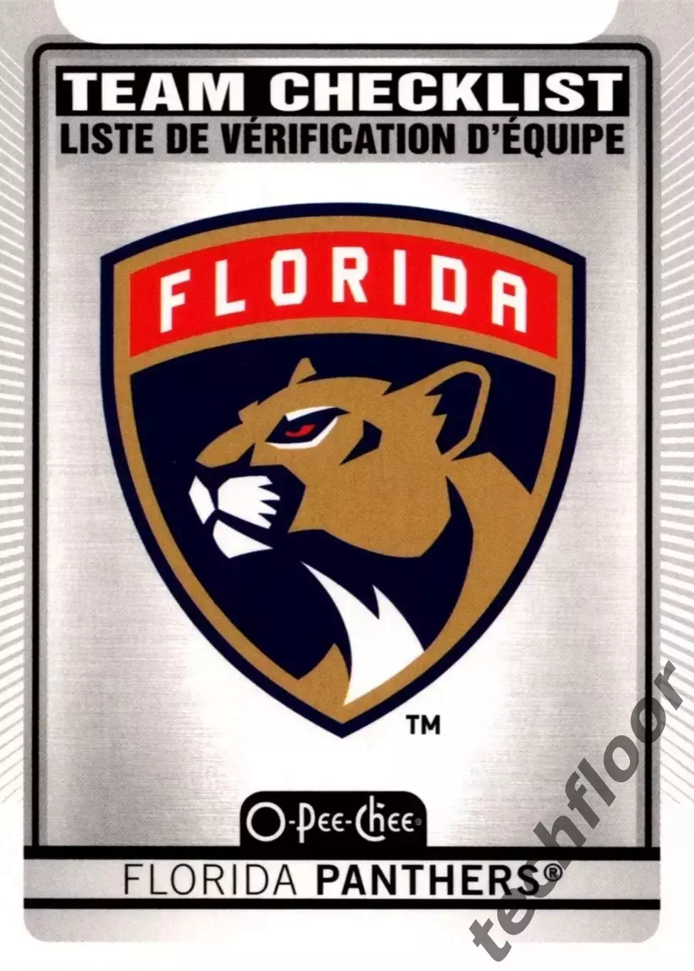 Карточка NHL Florida Panthers/Флорида Пантерз НХЛ