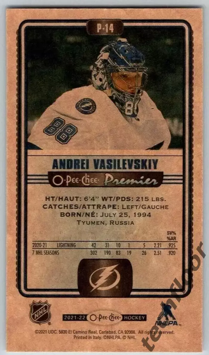 Карточка NHL Andrei Vasilevskiy Tampa Bay Lightning/ Андрей Василевский Тампа 1