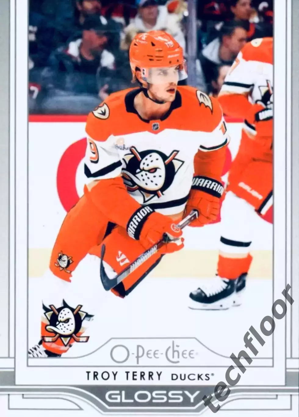 Карточка NHL Troy Terry Anaheim Ducks/ Трой Терри Анахайм НХЛ