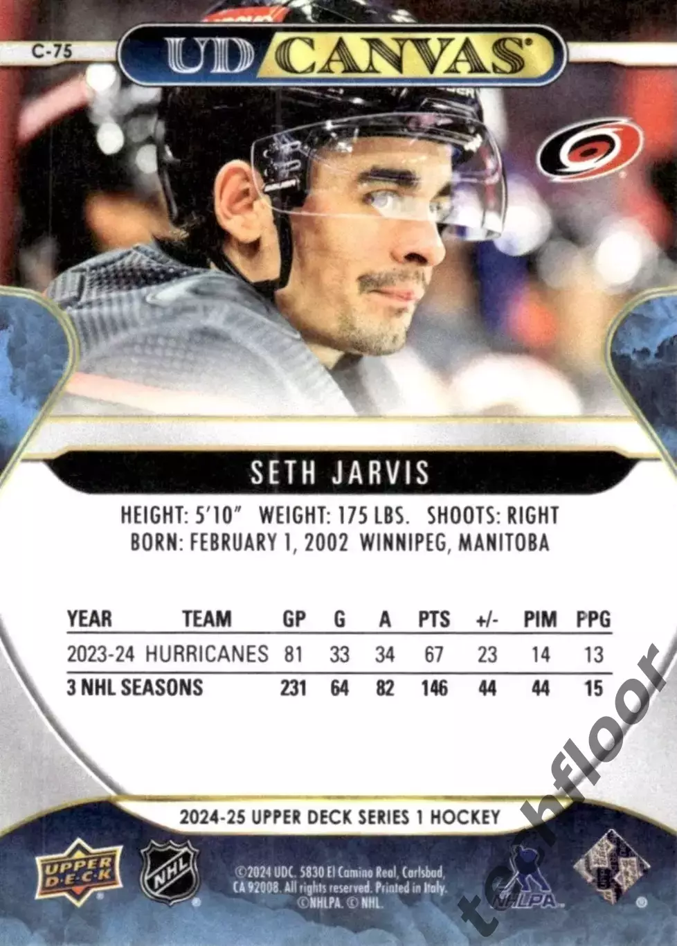 Карточка Canvas NHL Seth Jarvis Carolina Hurricanes/Сет Джарвис Каролина НХЛ 1