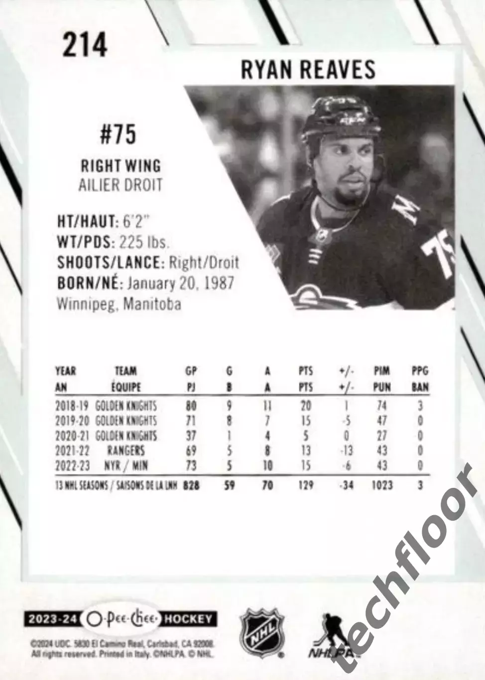 Карточка NHL Ryan Reaves Minnesota Wild/Райан Ривз Миннесота НХЛ 1