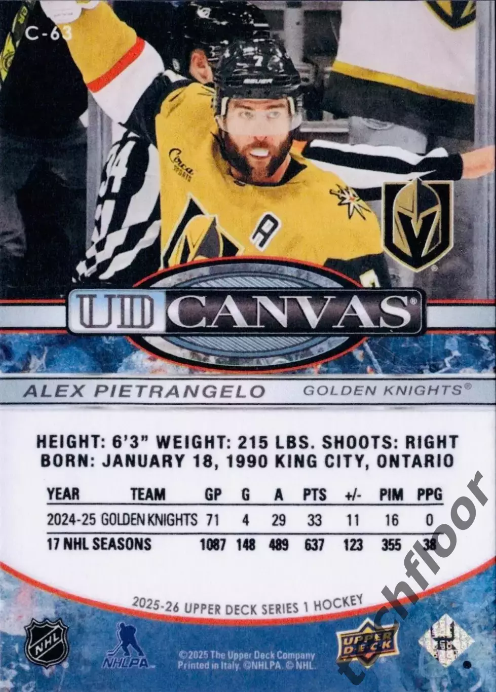 Карточка Canvas NHL Alex Pietrangelo Vegas Golden Knights/Алекс Пьетранжело НХЛ 1