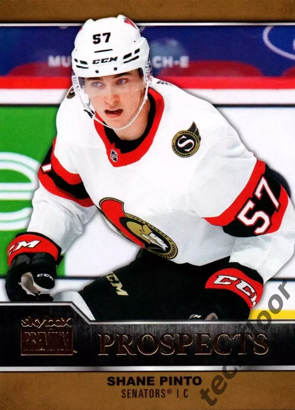 Карточка NHL Shane Pinto Ottawa Senators/ Шейн Пинто Оттава НХЛ