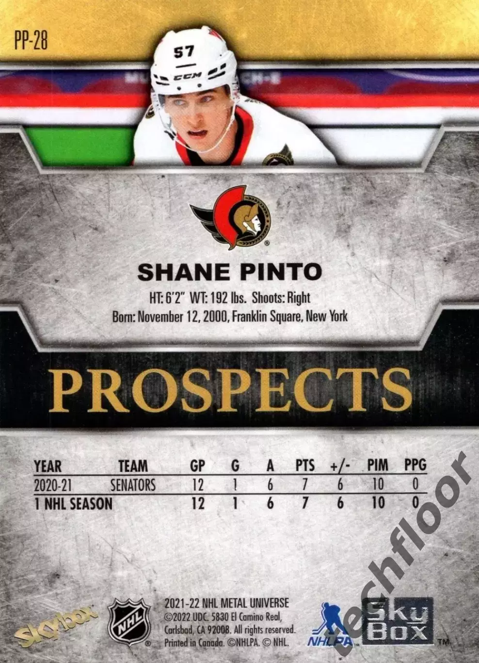 Карточка NHL Shane Pinto Ottawa Senators/ Шейн Пинто Оттава НХЛ 1