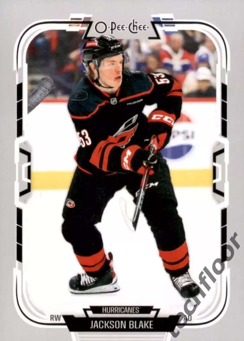 Карточка NHL Jackson Blake Carolina Hurricanes /Джексон Блэйк Каролина НХЛ