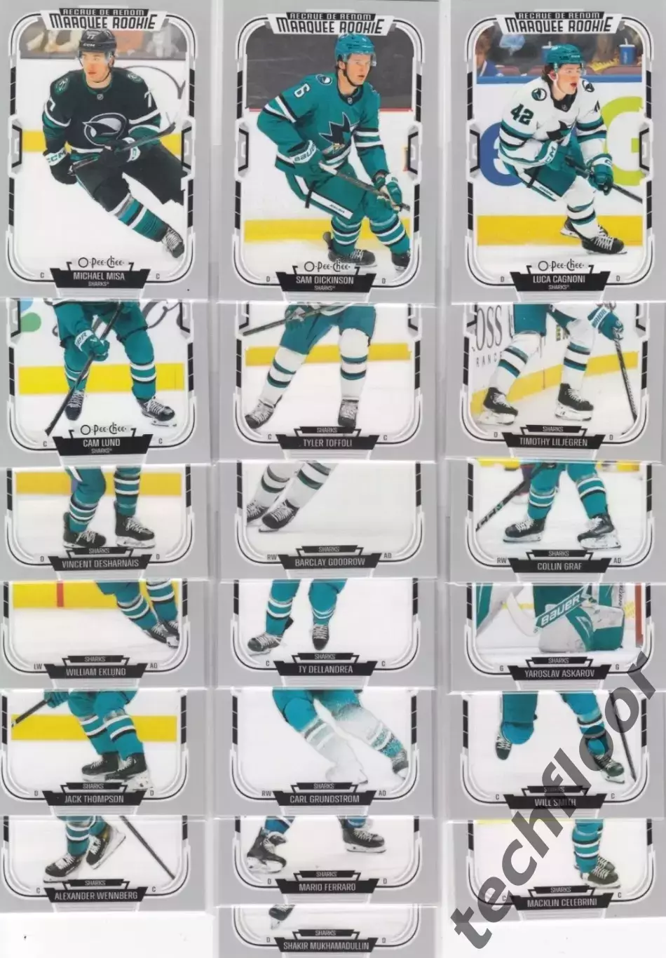 Карточки NHL O-Pee-Chee 25-26 San Jose Sharks/Сан-Хосе Шаркс НХЛ