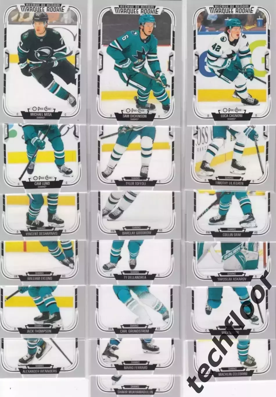 Карточки NHL O-Pee-Chee 25-26 San Jose Sharks/Сан-Хосе Шаркс НХЛ