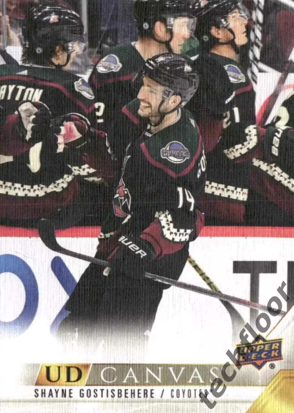 Карточка Canvas NHL Shayne Gostisbehere Arizona Coyotes/Шейн Гостисбеер Аризона