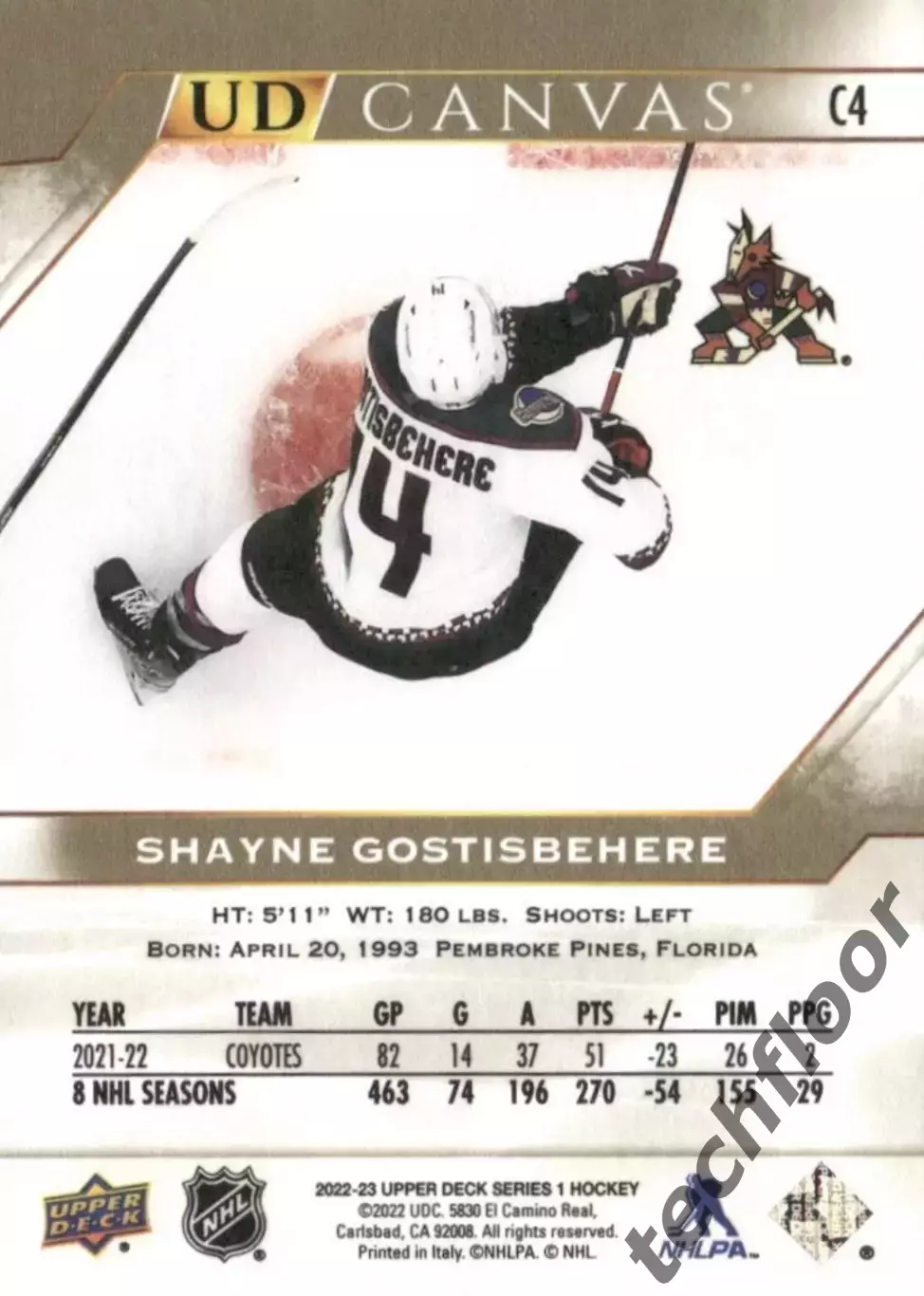 Карточка Canvas NHL Shayne Gostisbehere Arizona Coyotes/Шейн Гостисбеер Аризона 1