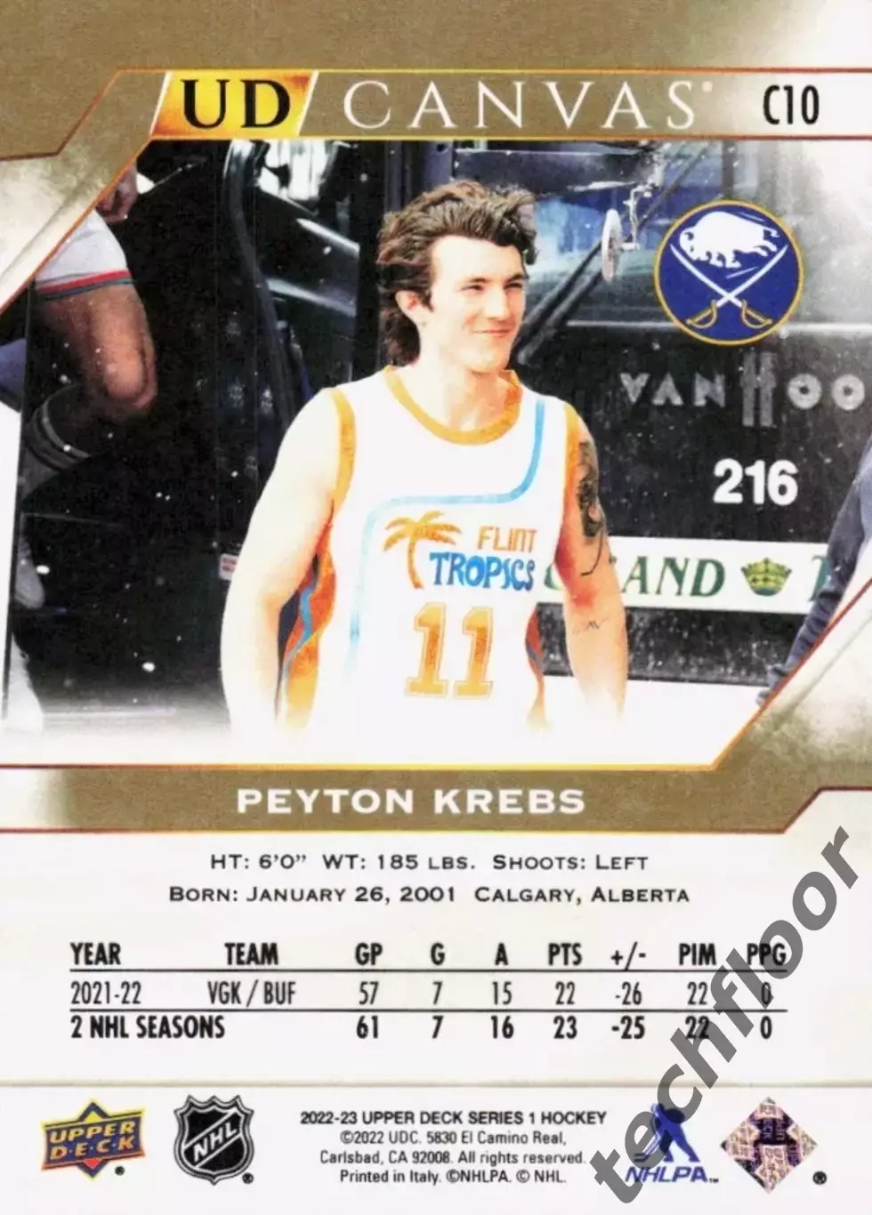 Карточка Canvas NHL Peyton Krebs Buffalo Sabres/Пейтон Кребс Баффало НХЛ 1