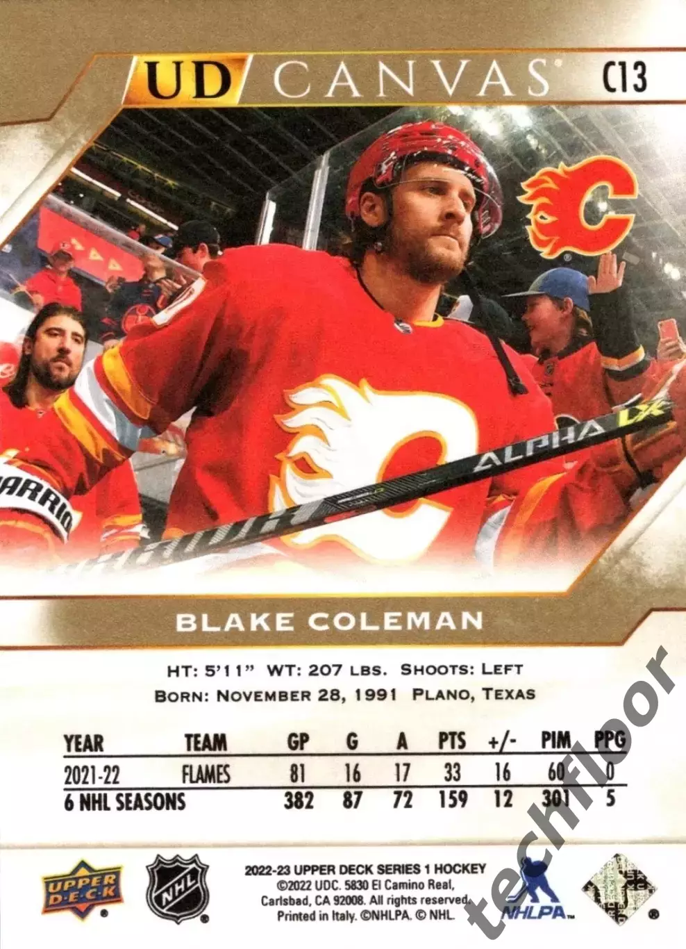 Карточка Canvas NHL Blake Coleman Calgary Flames/Блейк Коулман Калгари НХЛ 1