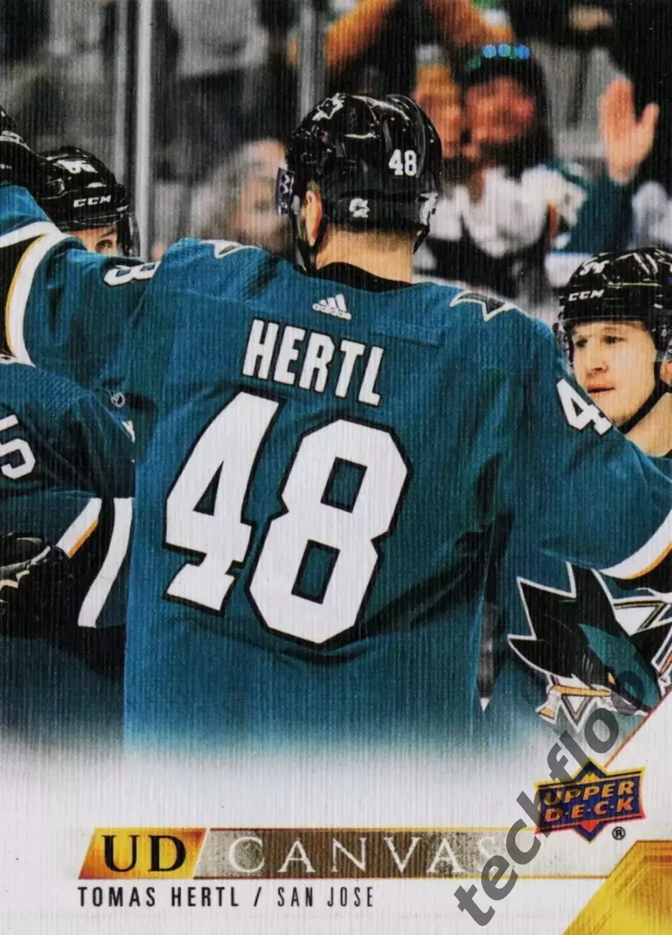 Карточка Canvas NHL Tomas Hertl San Jose Sharks/Томаш Гертл Сан-Хосе НХЛ
