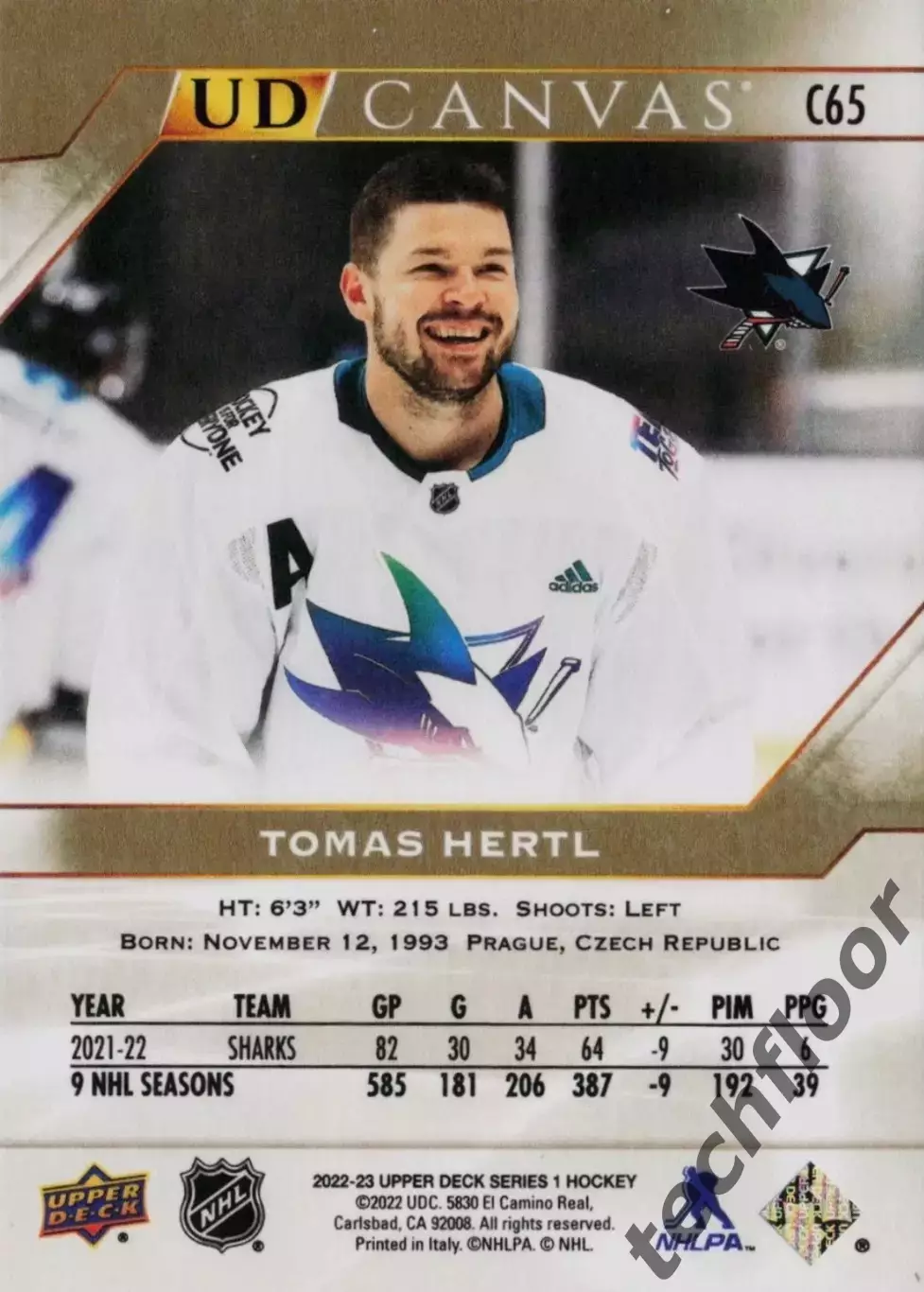 Карточка Canvas NHL Tomas Hertl San Jose Sharks/Томаш Гертл Сан-Хосе НХЛ 1