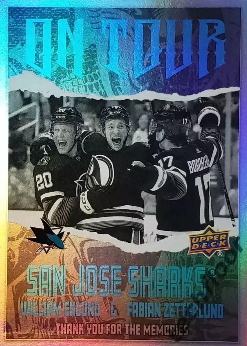 Карточка NHL San Jose Sharks Eklund/Zetterlund / Сан-Хосе Шаркс НХЛ