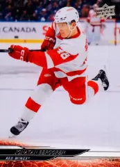Карточка NHL Jonatan Berggren Detroit Red Wings/Джонатан Берггрен Детройт НХЛ