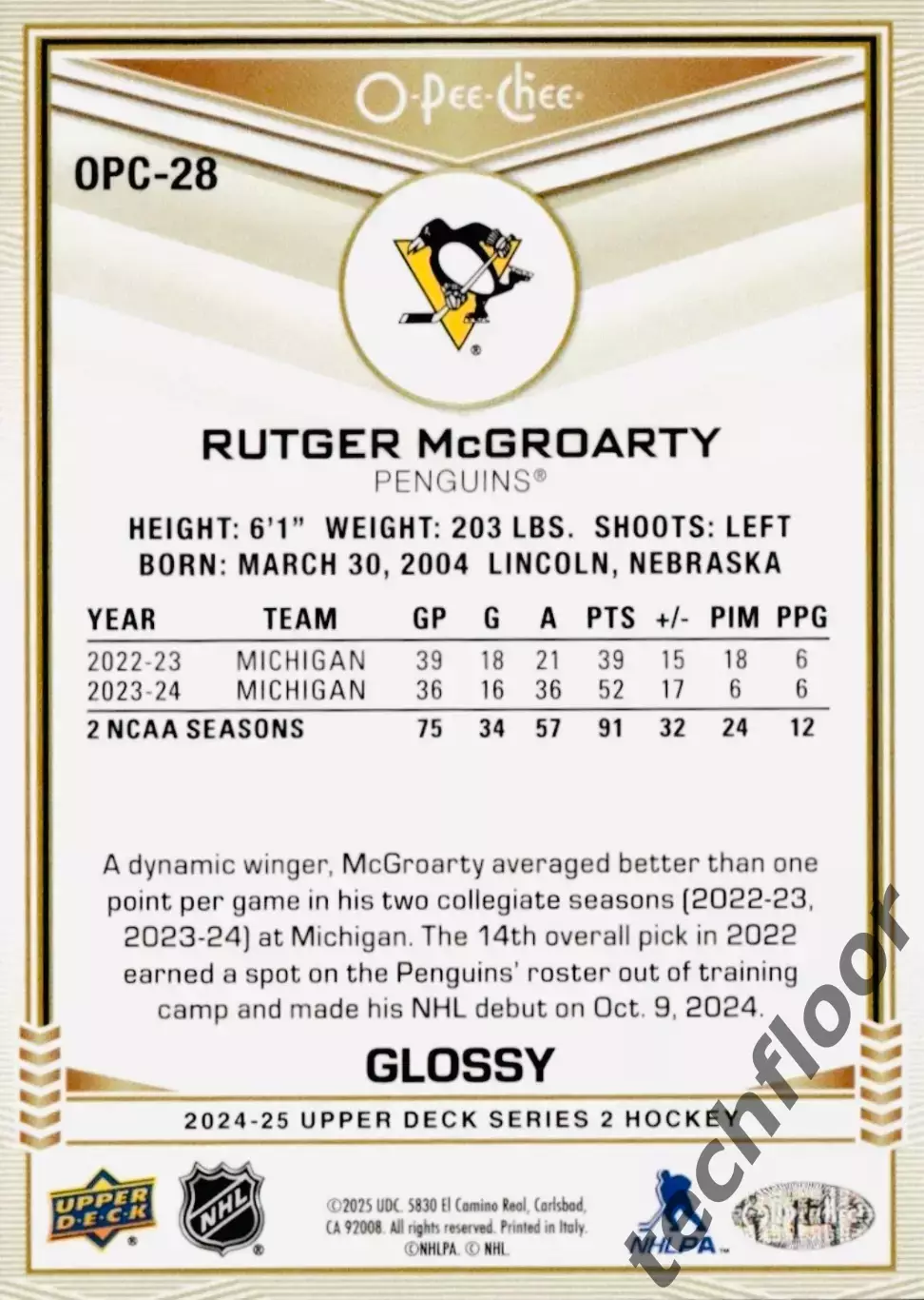 Карточка NHL Rutger McGroarty Pittsburgh Penguins/Рутгер Макгроарти Питтсбург 1