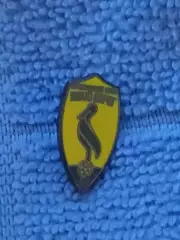 ФК Левый берег (Украина)/FC Livy Bereg (Ukraine)(1)