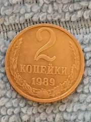 2 копейки 1989 СССР (8)