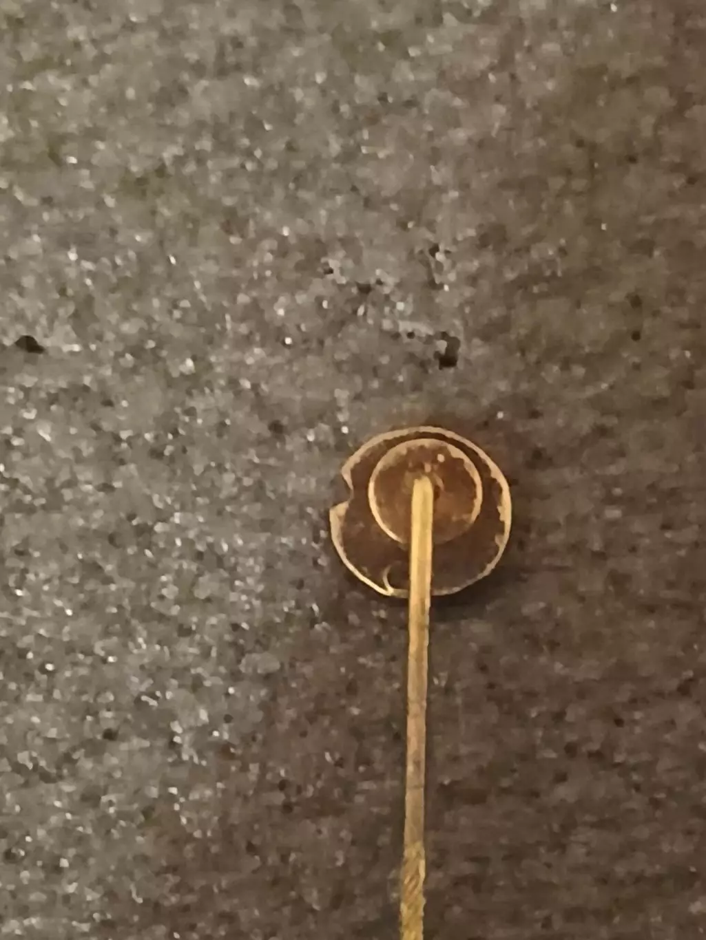 ФК Грассхоппер (Швейцария)/FC Grasshopper (Switzerland)(2) 1