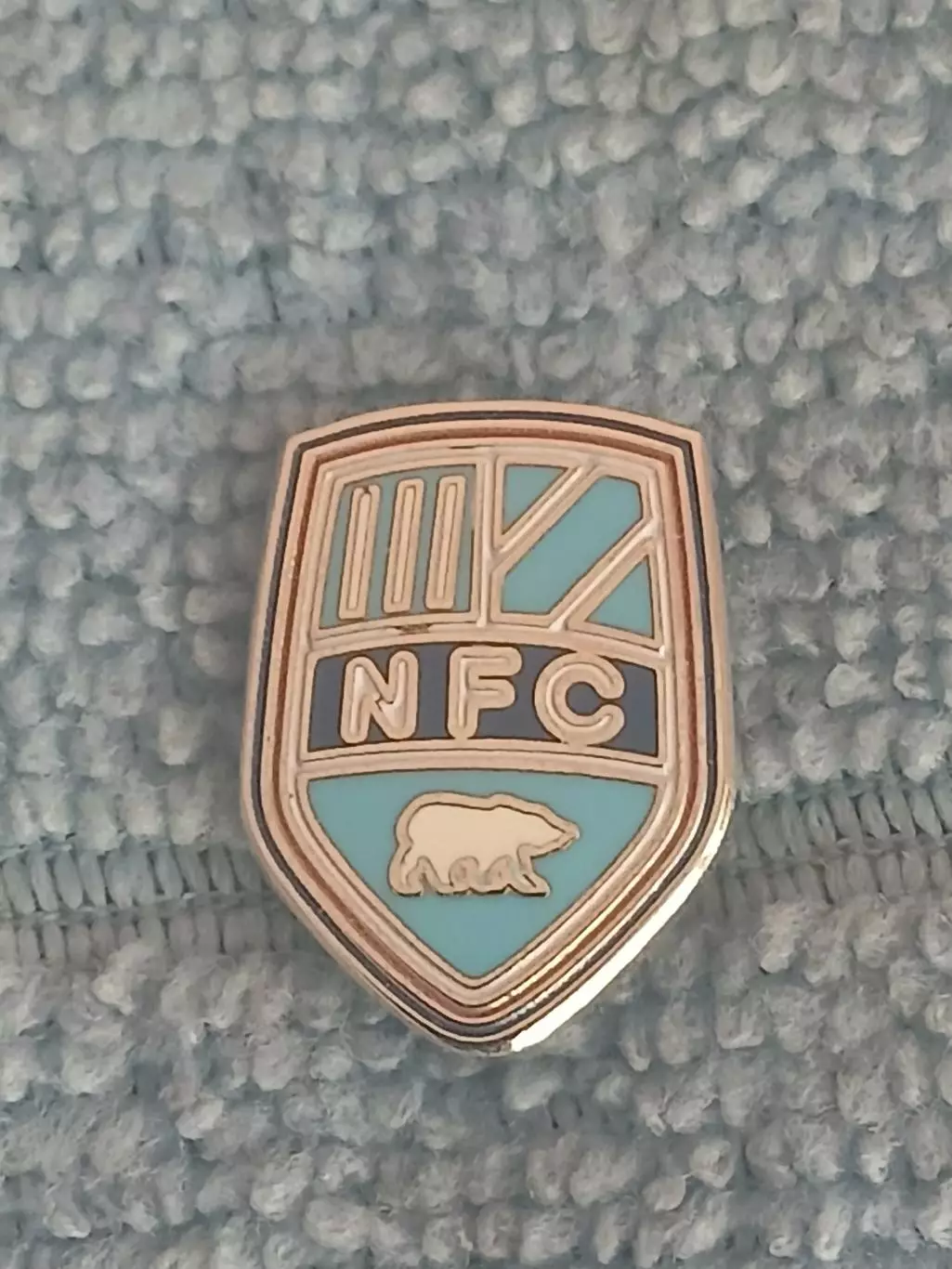 ФК Нюкёбинг (Дания)/ FC Nykobing (Denmark)