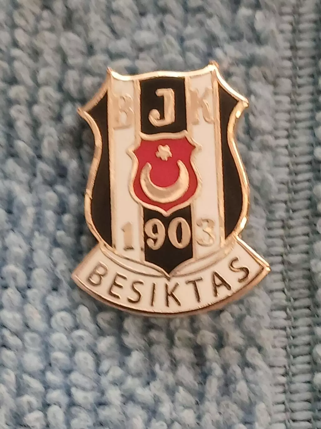 ФК Бешикташ (Турция)/ FC Besiktas (Turkey)