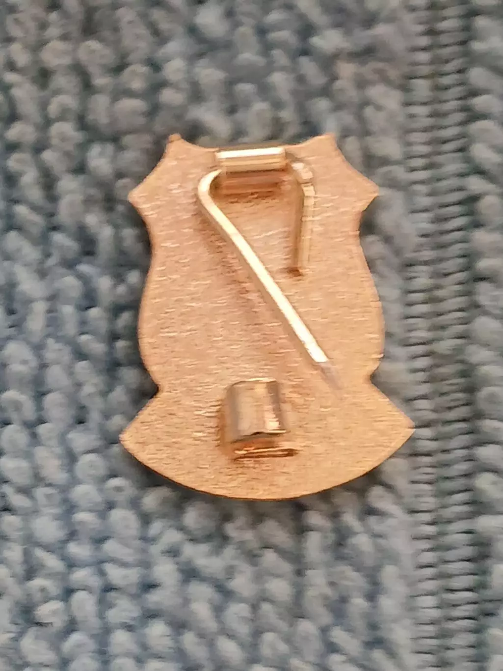 ФК Бешикташ (Турция)/ FC Besiktas (Turkey) 1