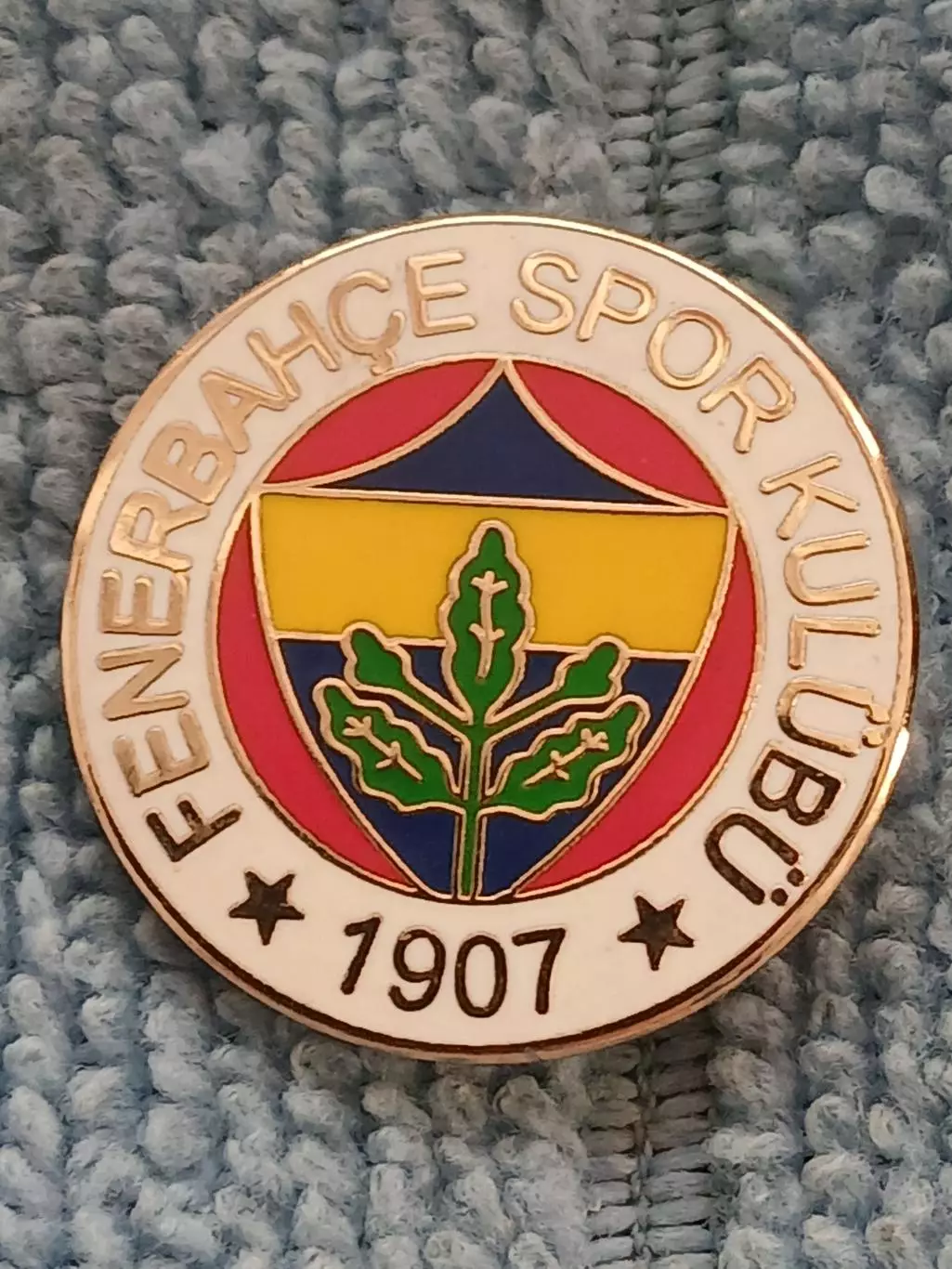 ФК Фенербахче (Турция)/ Fenerbahce FC (T?rkiye)