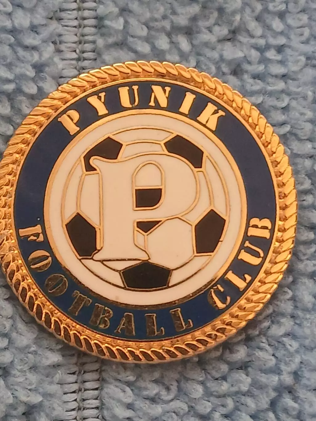 ФК Пюник (Армения)/FC Pyunik (Armenia)