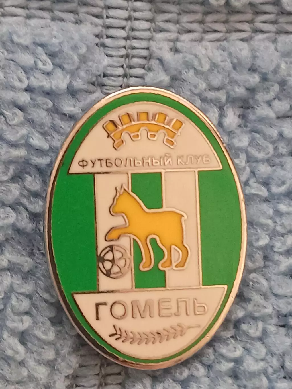 ФК Гомель (Беларусь)/FC Gomel (Belarus)(1)