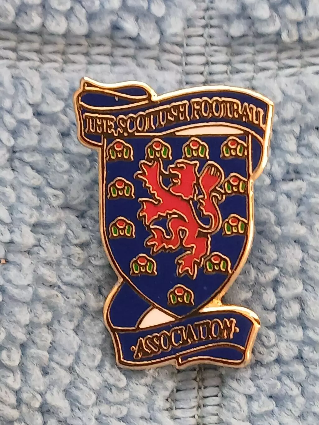 Шотландия Федерация футбола/Scotland Football Federation(1)