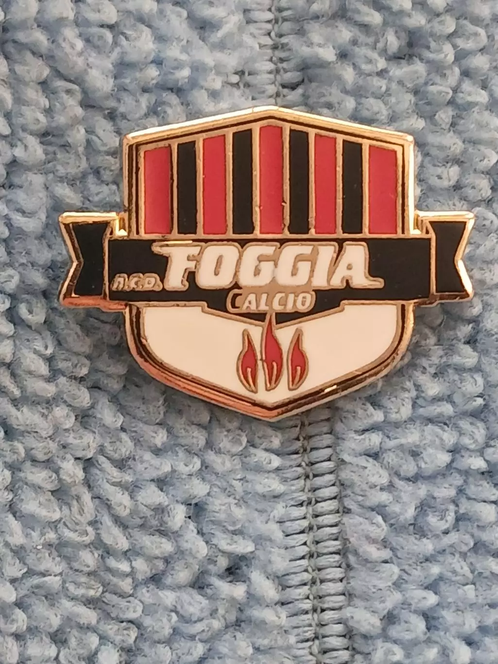 ФК Фоджа (Италия)/FC Foggia (Italy)(1)