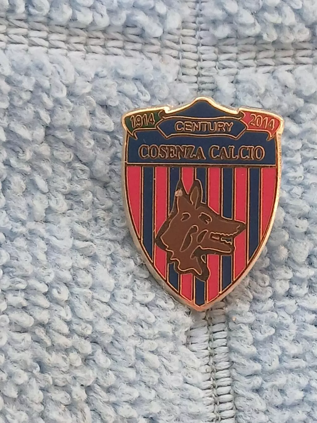 ФК Козенца (Италия)/FC Cosenza (Italy)