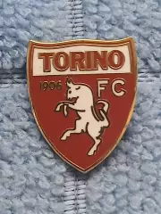 ФК Торино (Италия)/FC Torino (Italy)(1)