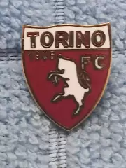 ФК Торино (Италия)/FC Torino (Italy)(2)
