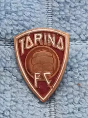 ФК Торино (Италия)/FC Torino (Italy)(3)