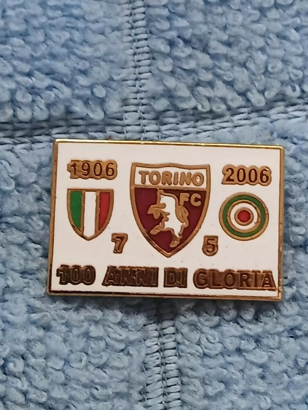 ФК Торино (Италия)/FC Torino (Italy)(4)
