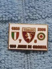 ФК Торино (Италия)/FC Torino (Italy)(4)