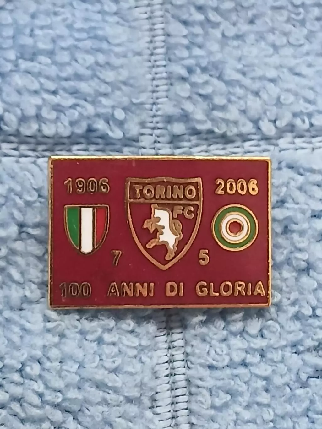 ФК Торино (Италия)/FC Torino (Italy)(5)