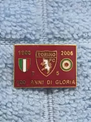 ФК Торино (Италия)/FC Torino (Italy)(5)