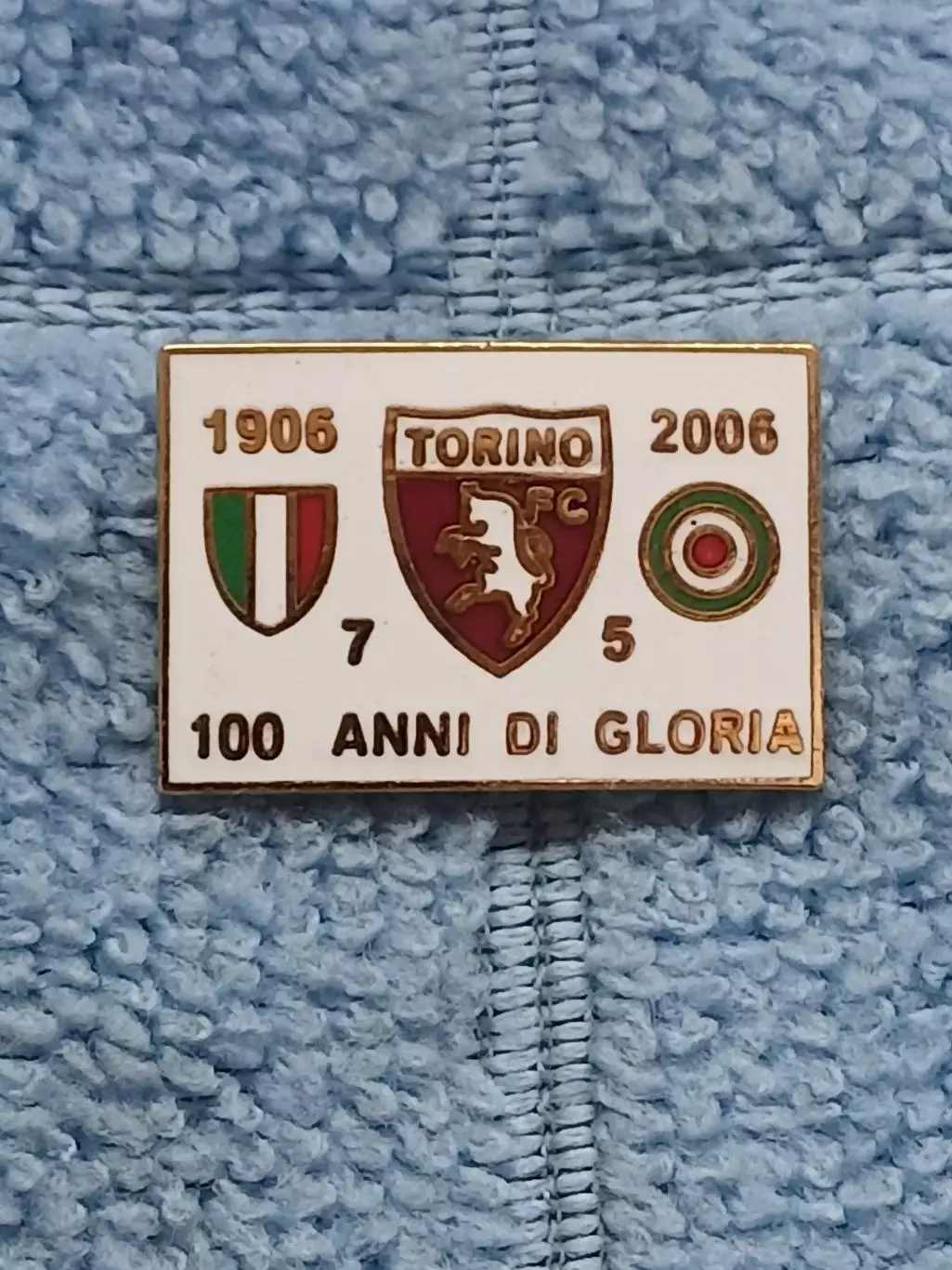 ФК Торино (Италия)/FC Torino (Italy)(5)