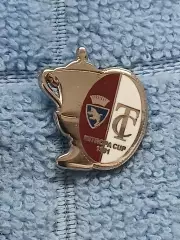 ФК Торино (Италия)/FC Torino (Italy)(6)