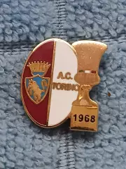 ФК Торино (Италия)/FC Torino (Italy)(7)