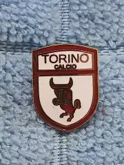 ФК Торино (Италия)/FC Torino (Italy)(9)