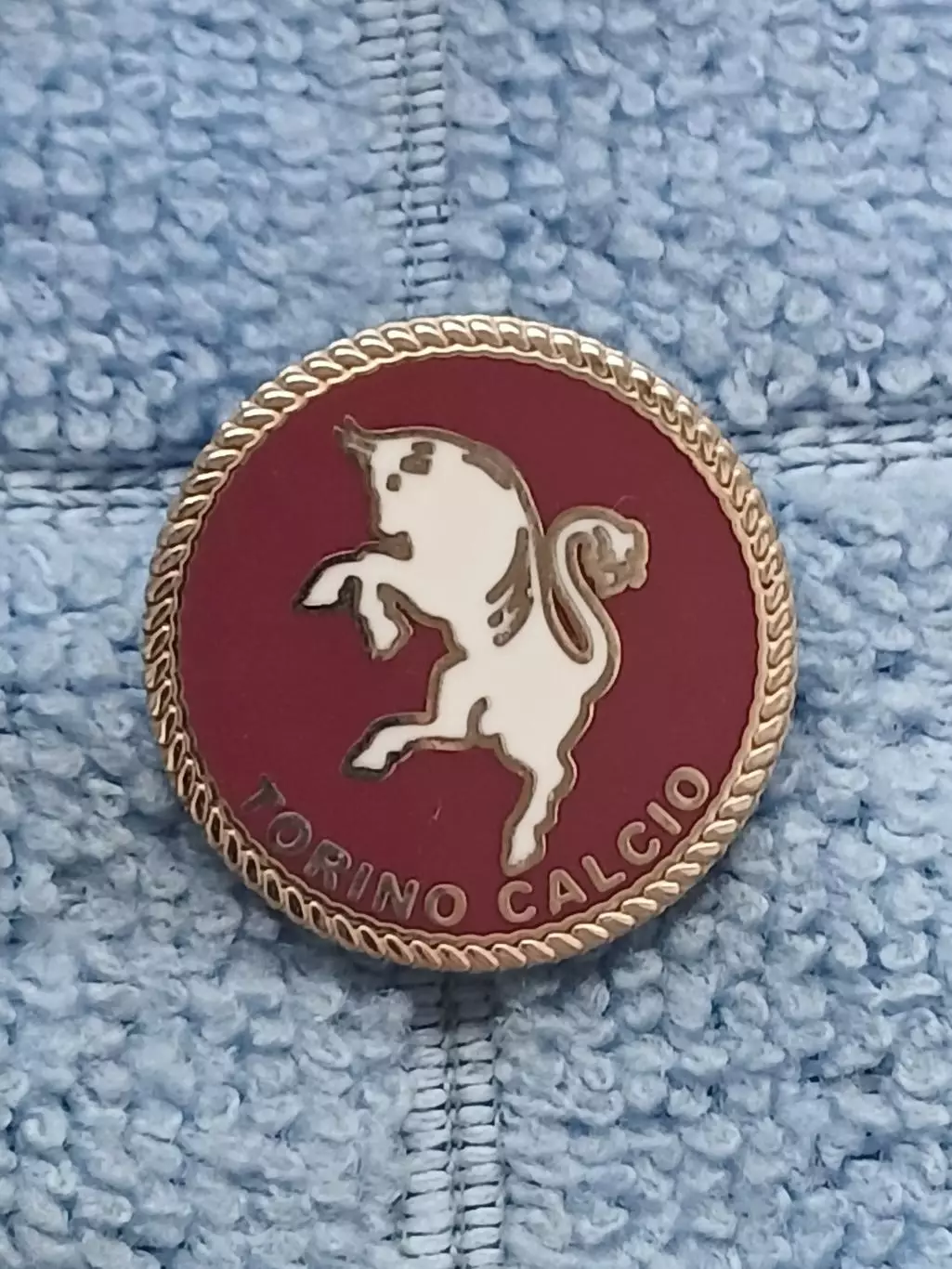 ФК Торино (Италия)/FC Torino (Italy)(10)