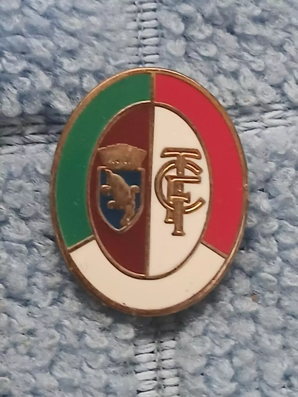 ФК Торино (Италия)/FC Torino (Italy)(11)