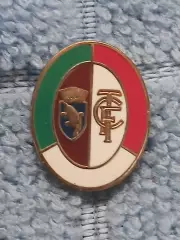 ФК Торино (Италия)/FC Torino (Italy)(11)